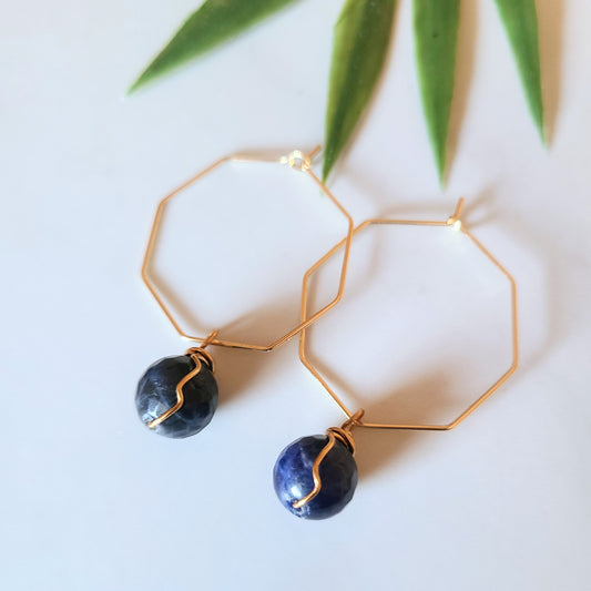 Stop & Seek Earrings- Sodalite (Logic)