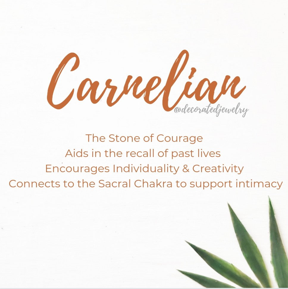 Stop & Seek Earrings- Carnelian (Courage)