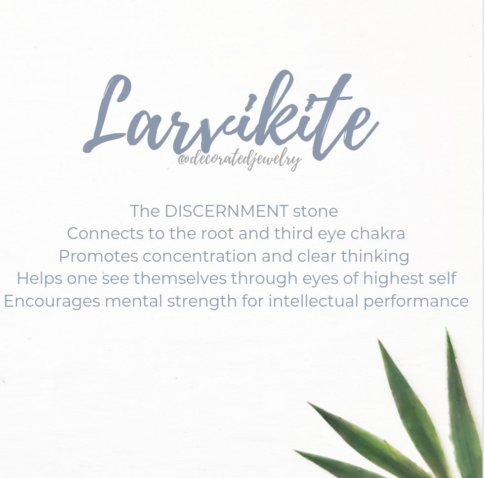 Stop & Seek Earrings- Larvikite (Discernment)