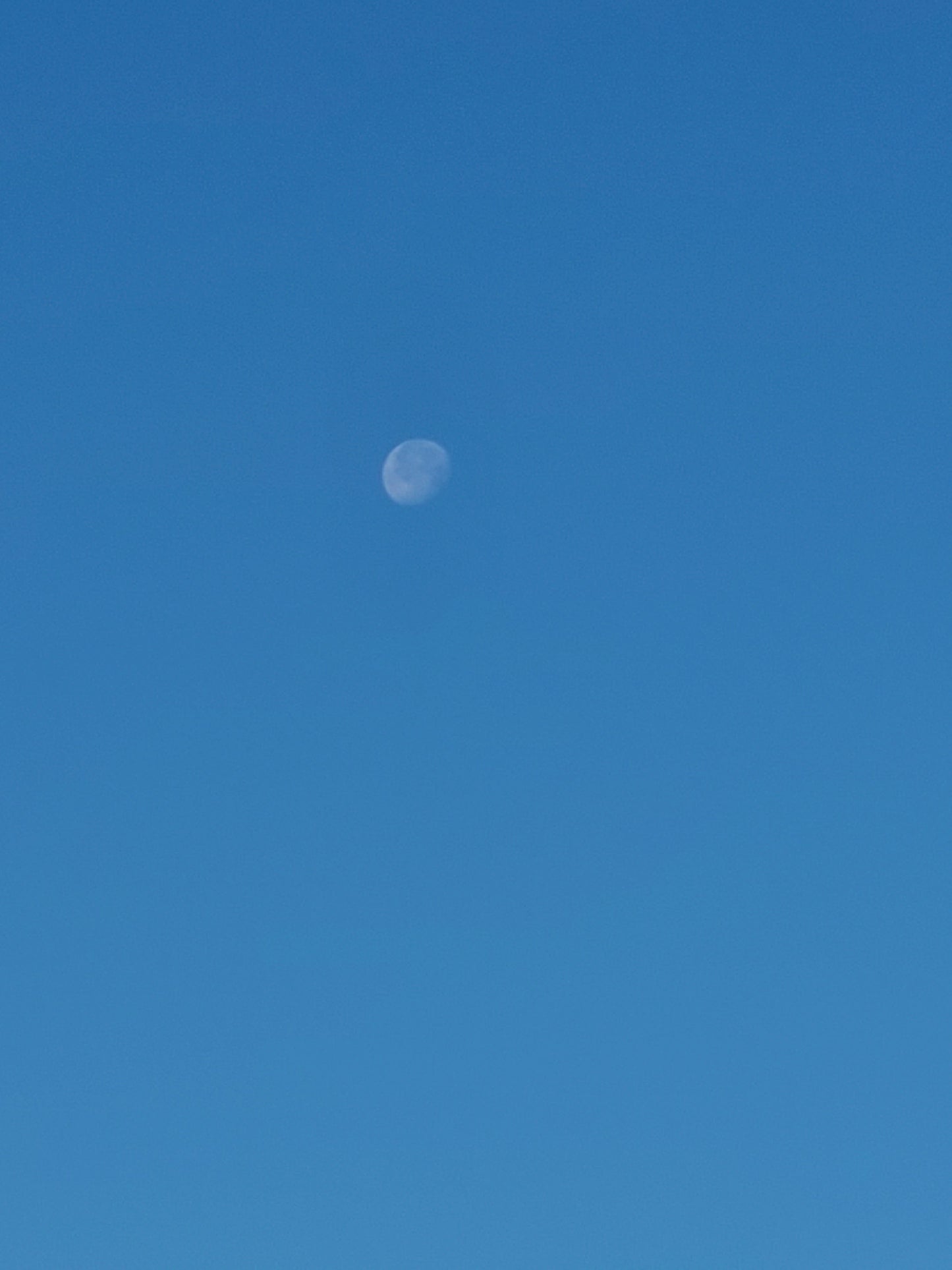 Moonlight- Clear Quartz