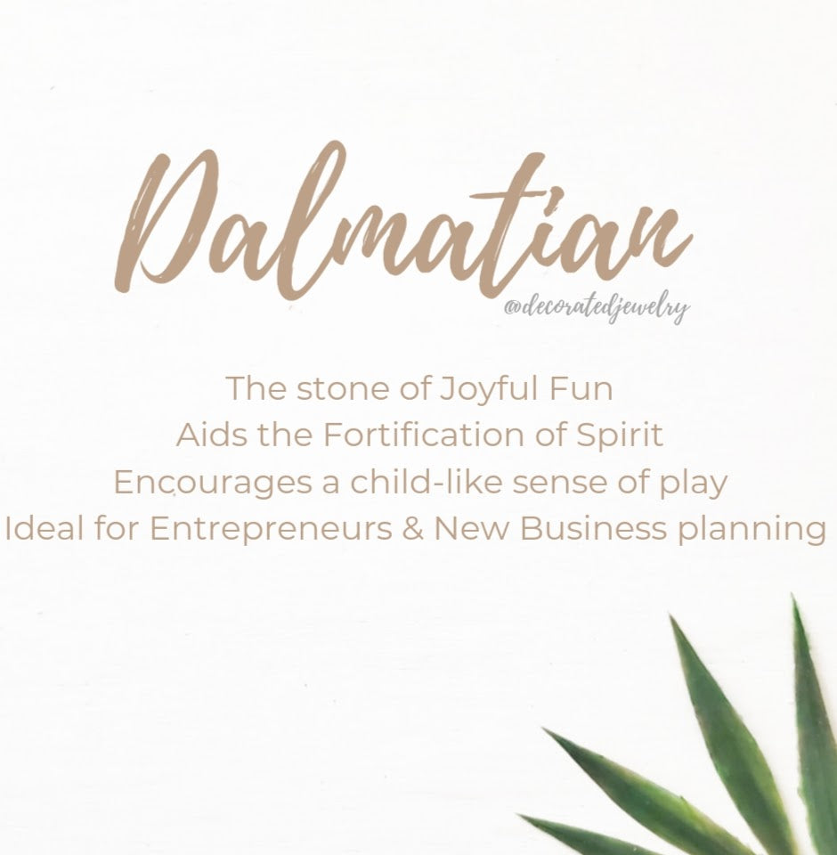 Stop & Seek Earrings-Dalmation (Playfulness)